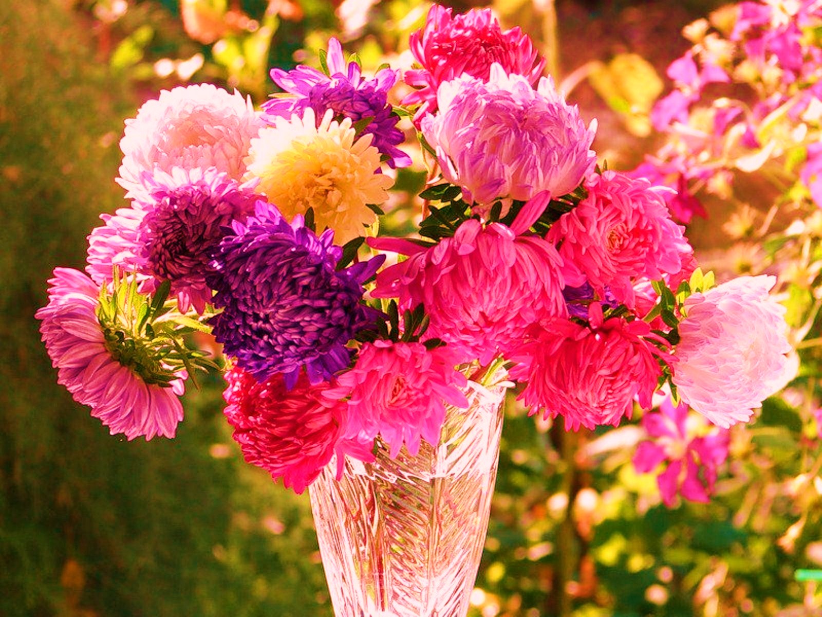 flower shop