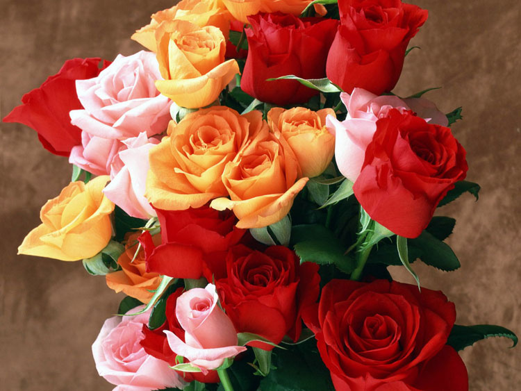 flower shop