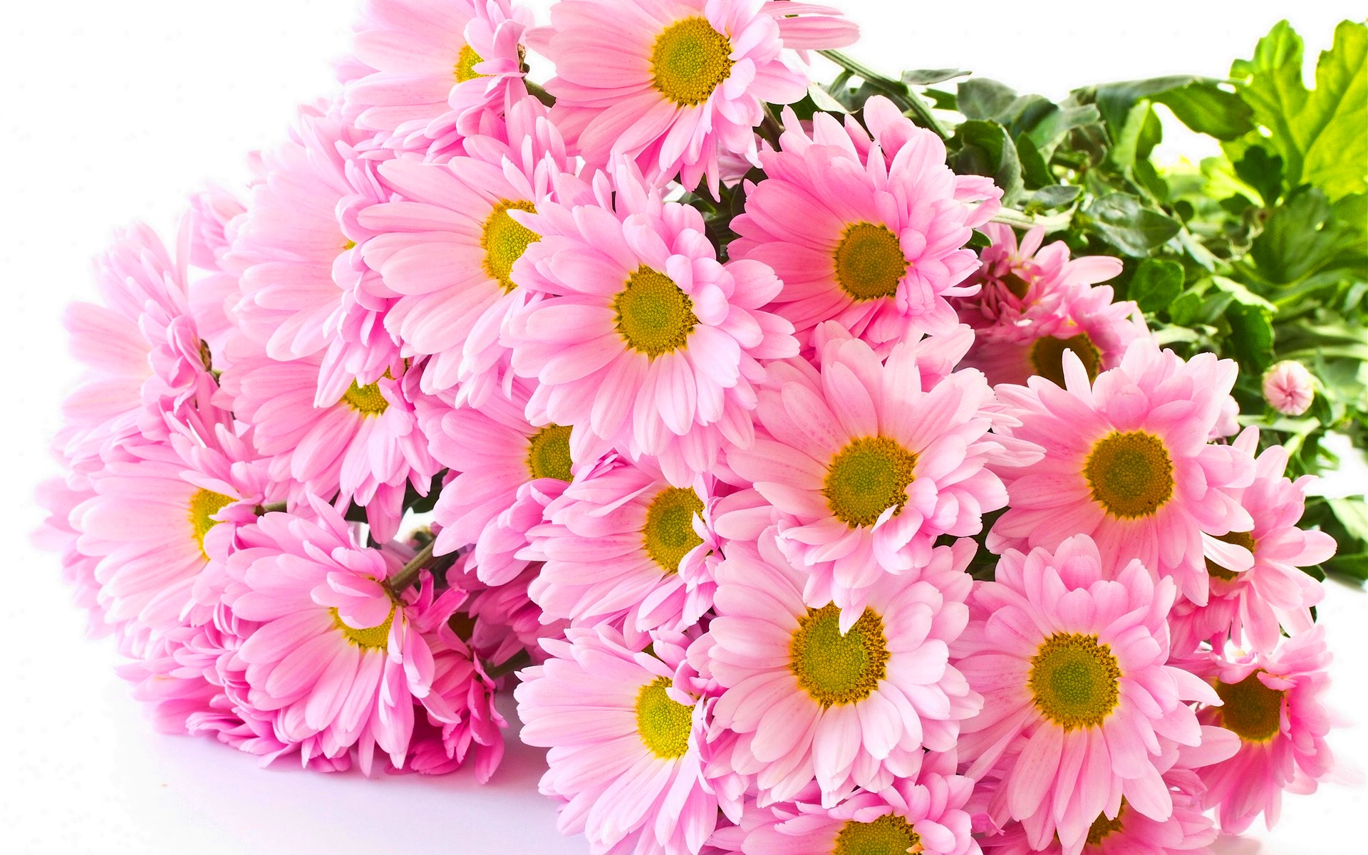 flower shop