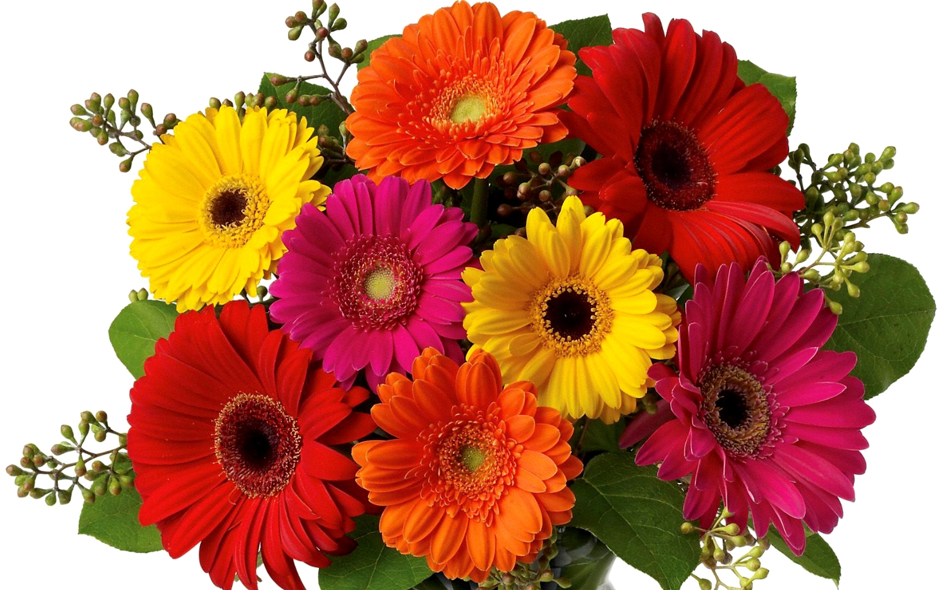 flower shop