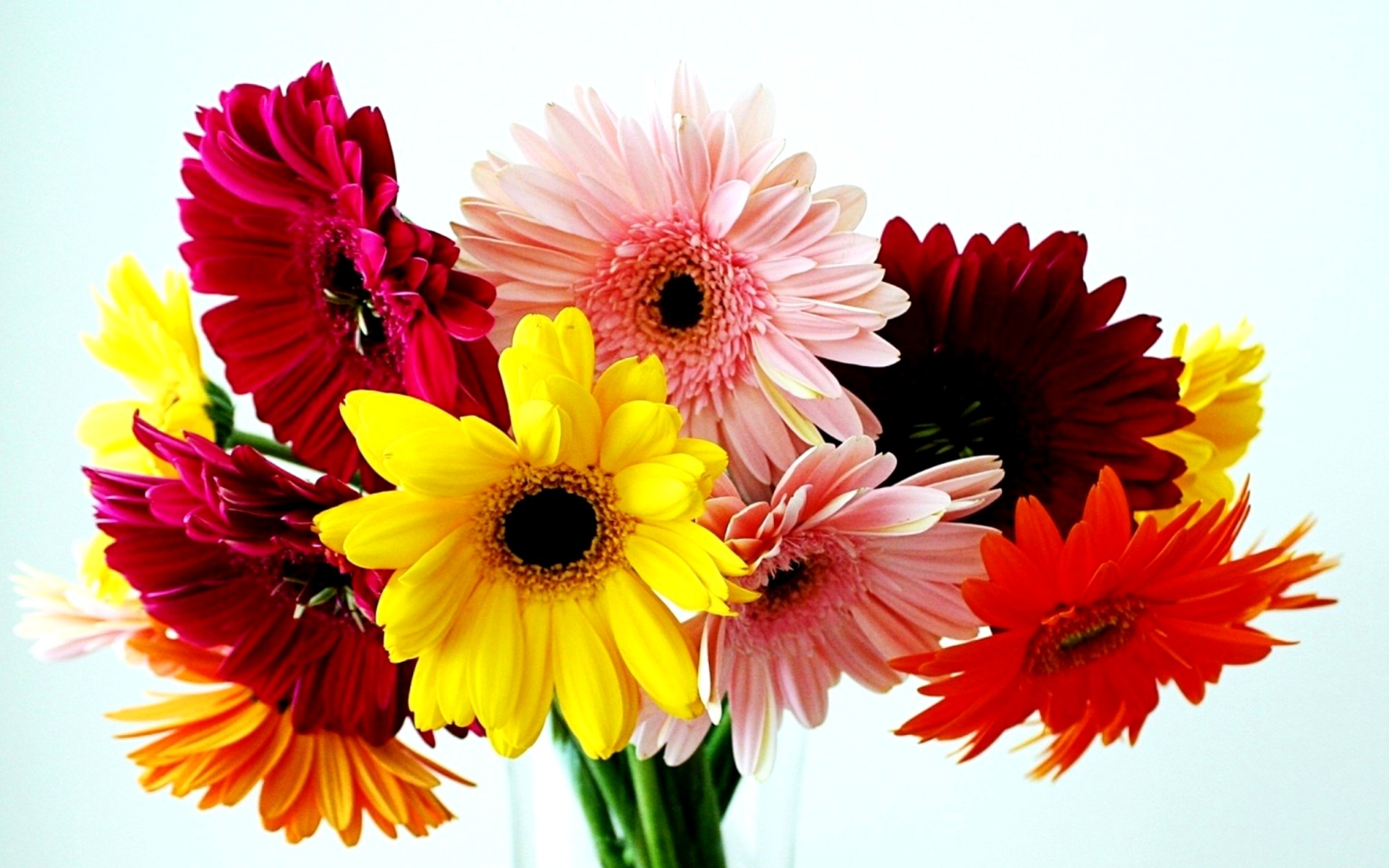 flower shop