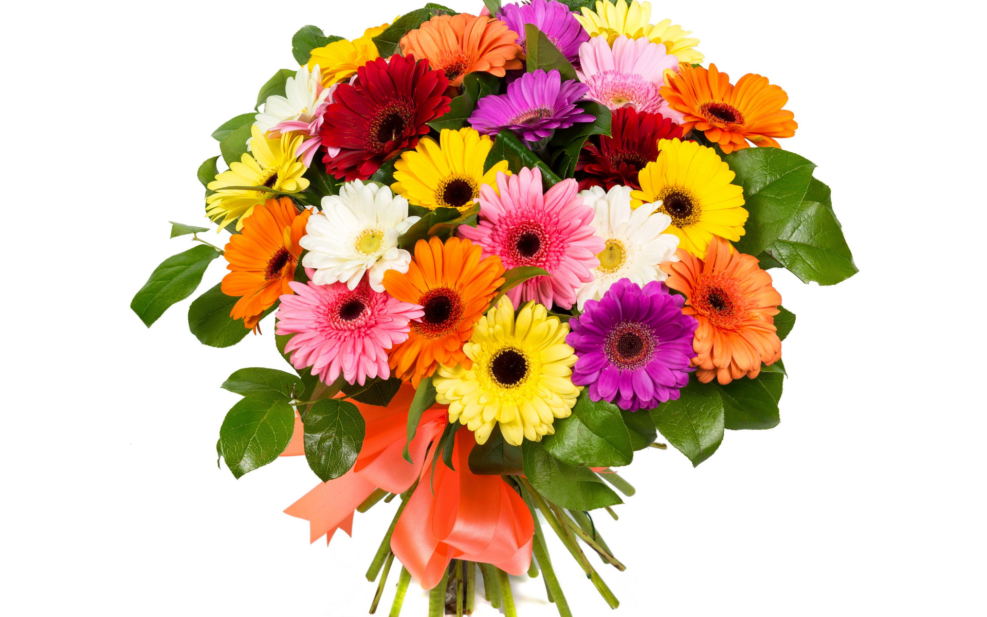 flower shop