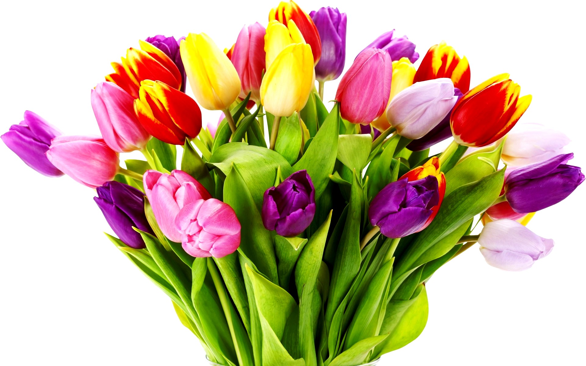 flower shop