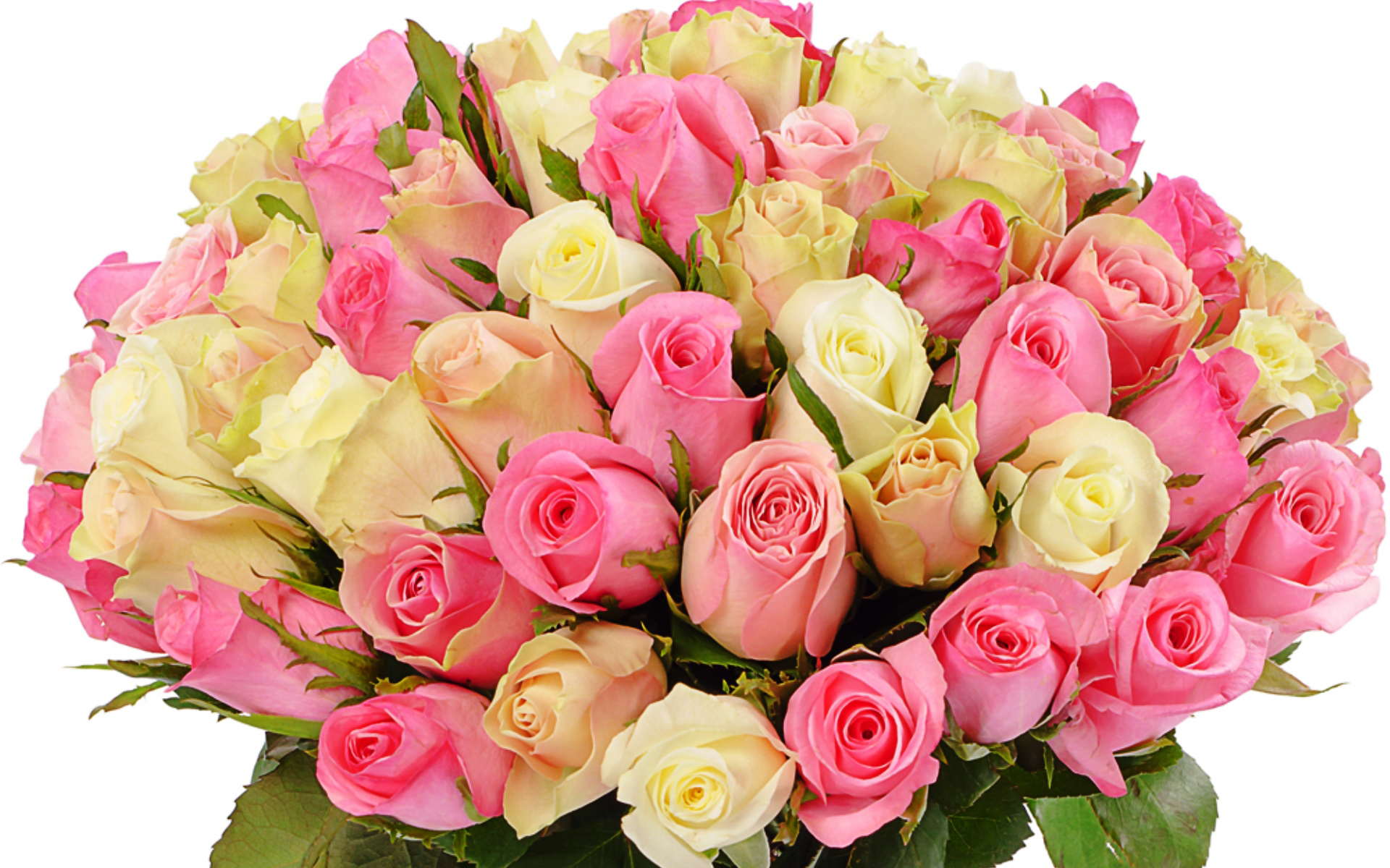 flower shop