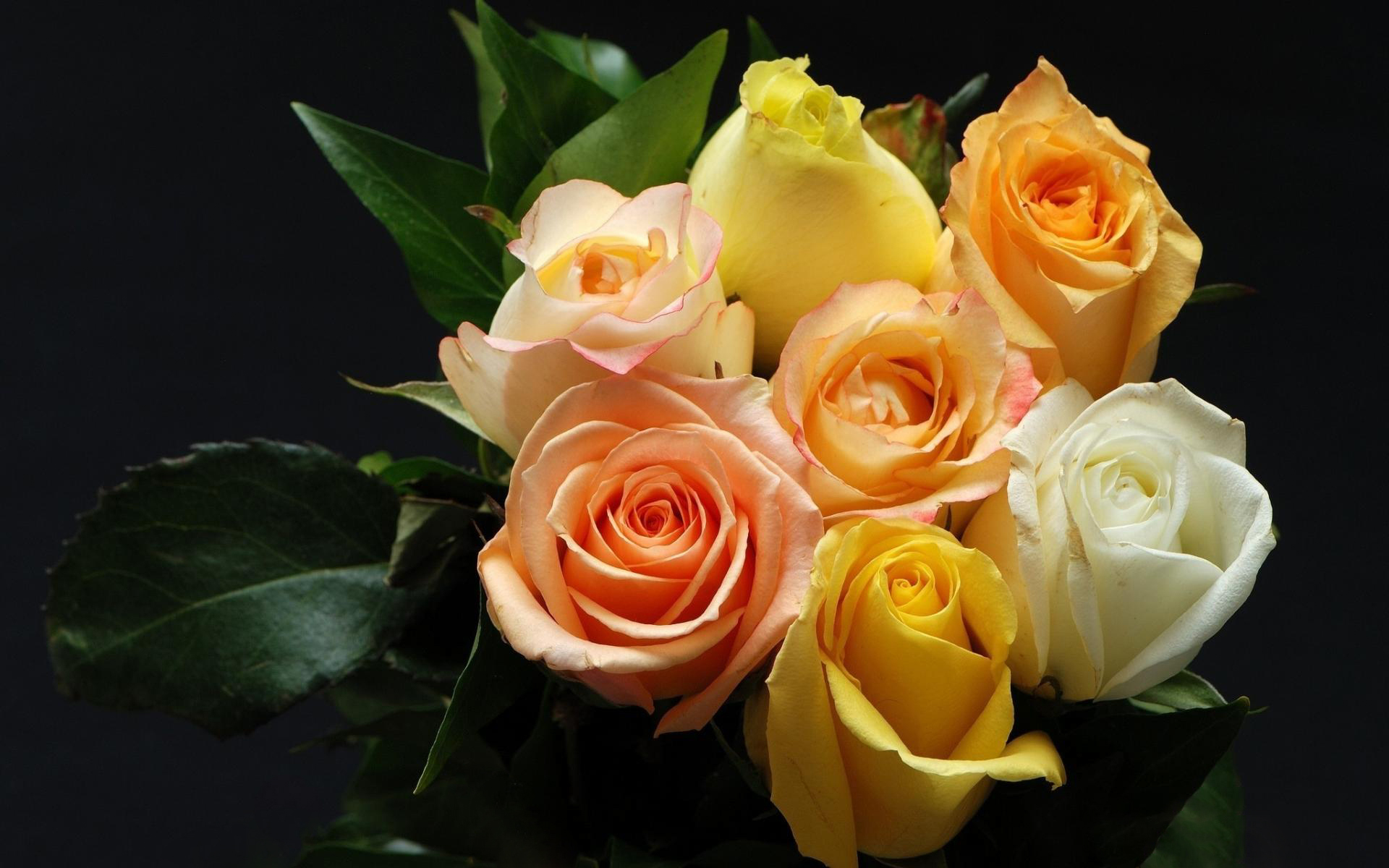 flower shop
