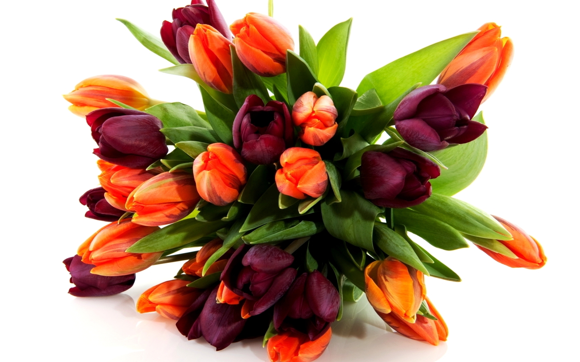 flower shop