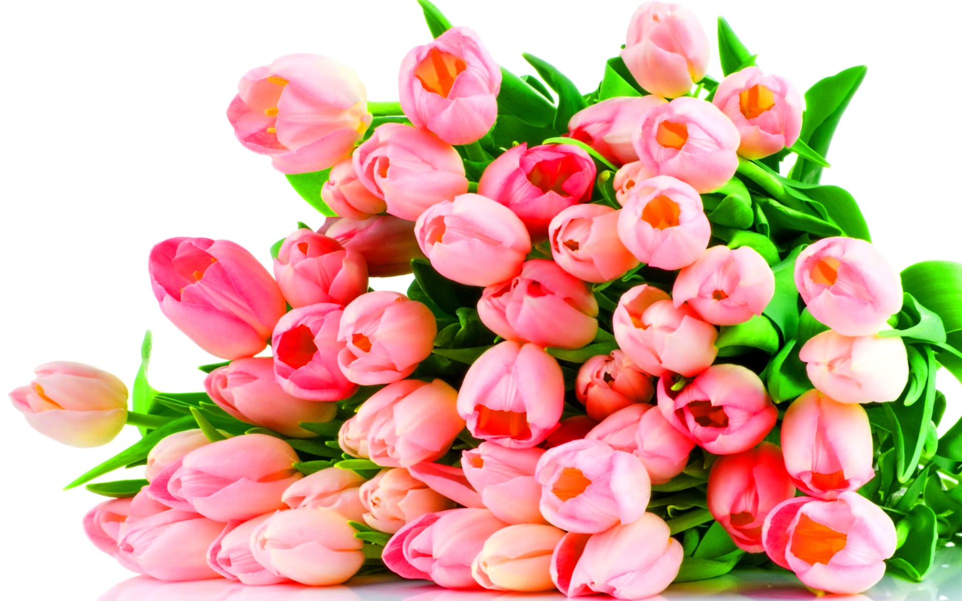 flower shop