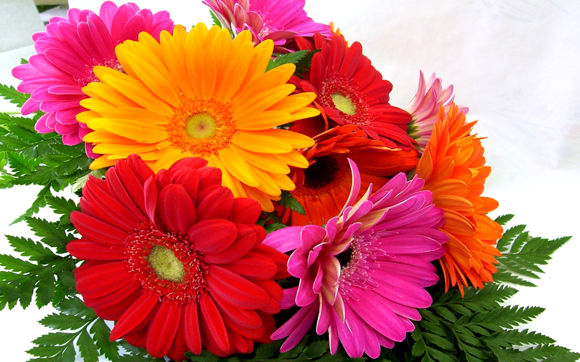 flower shop