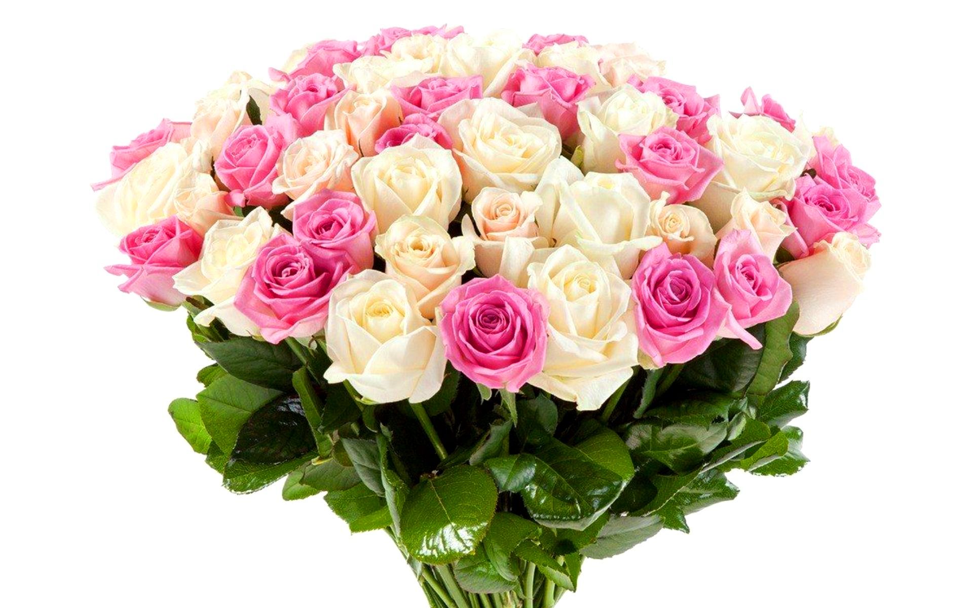 flower shop