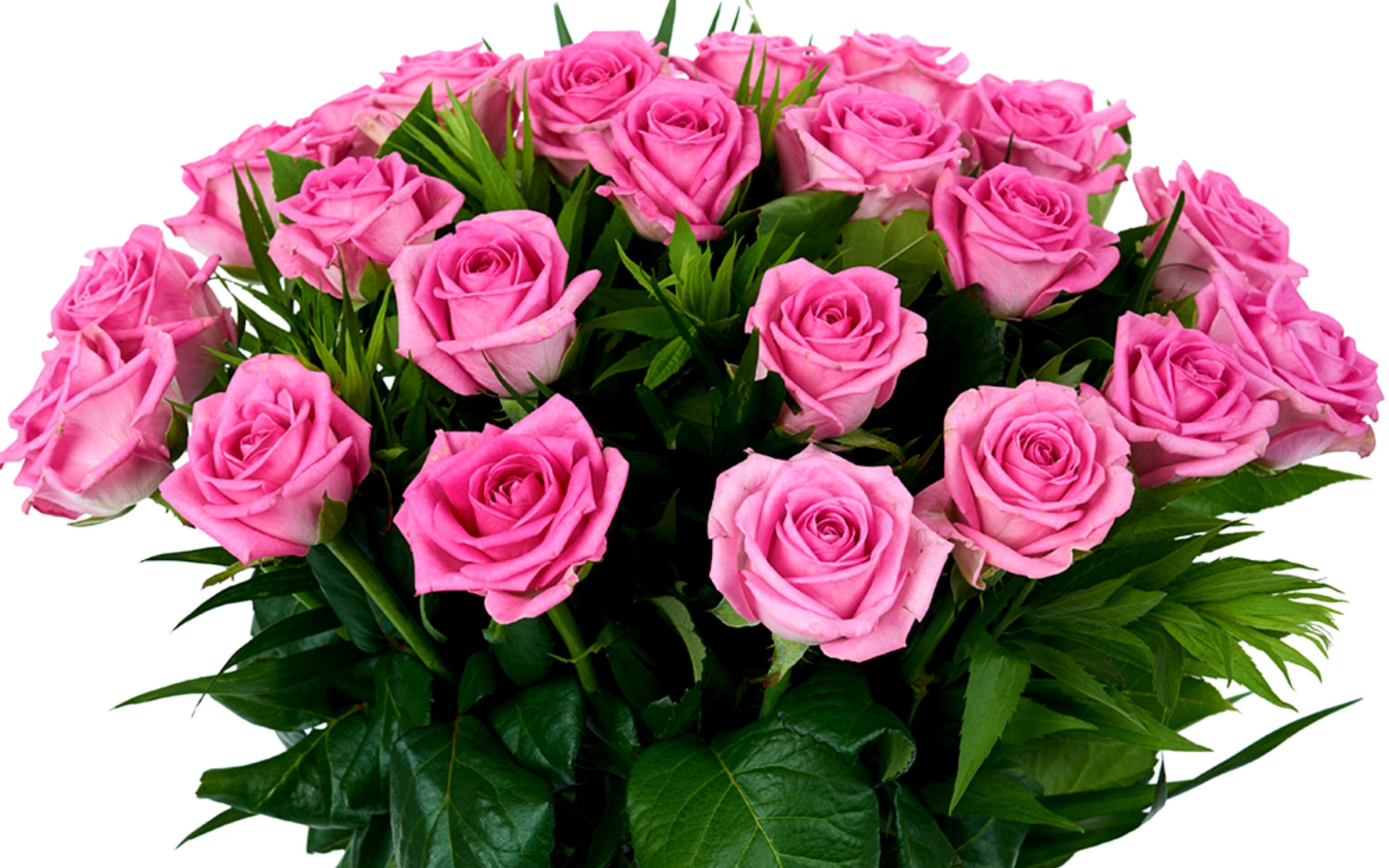 flower shop