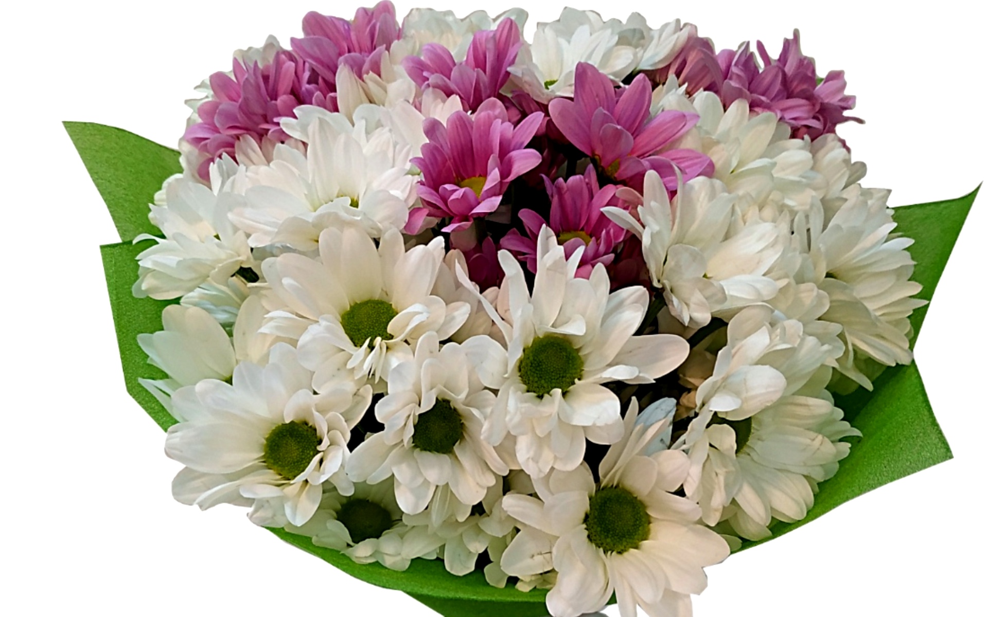 flower shop