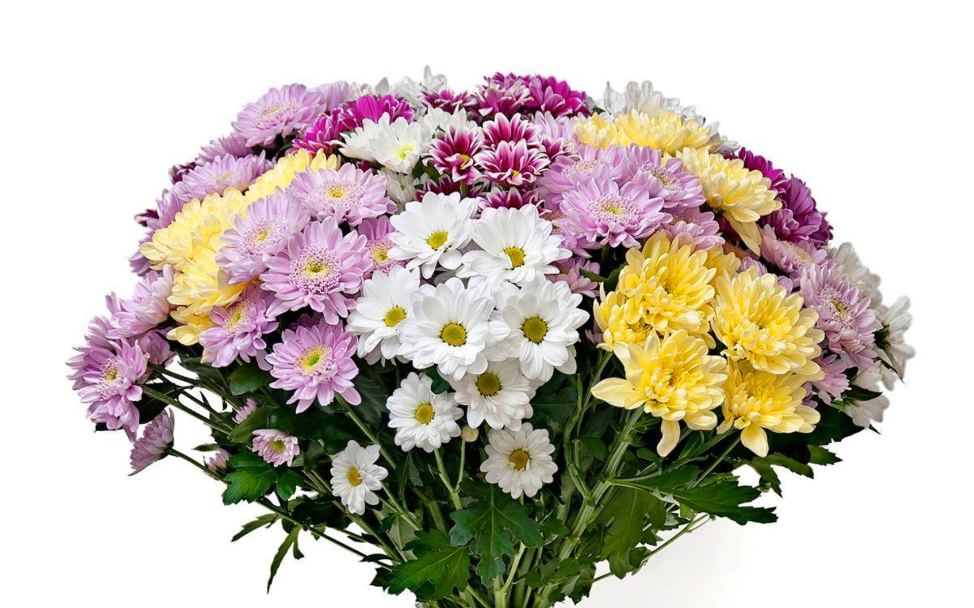 flower shop