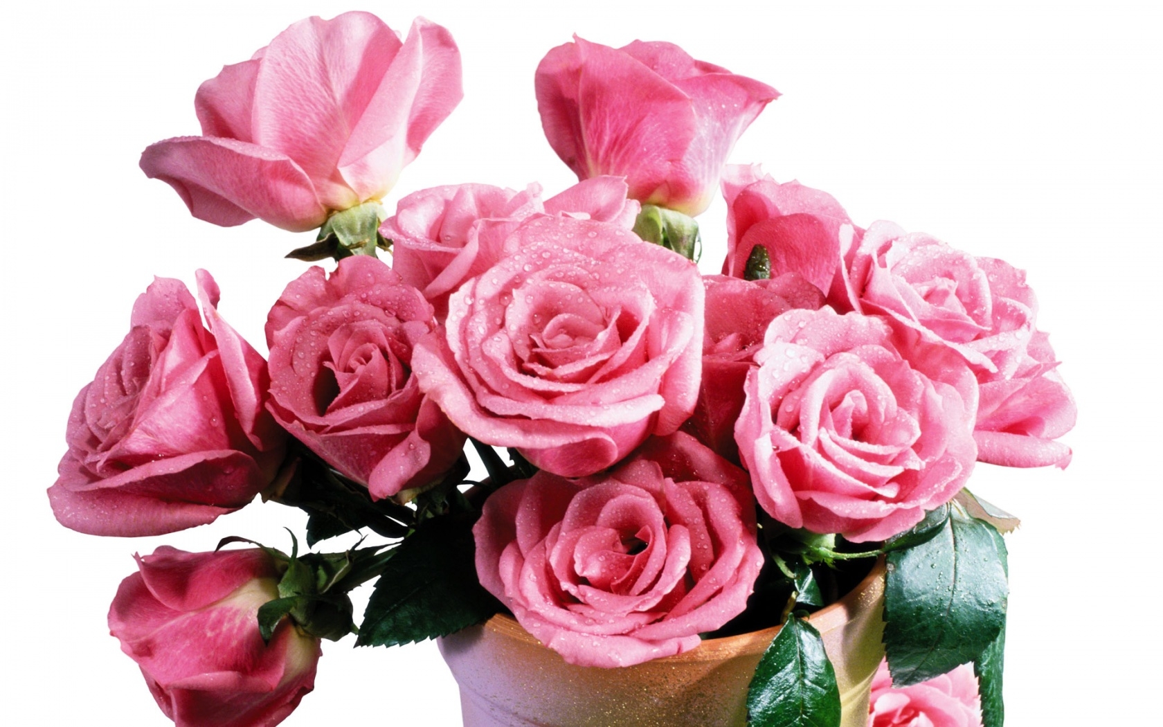 flower shop