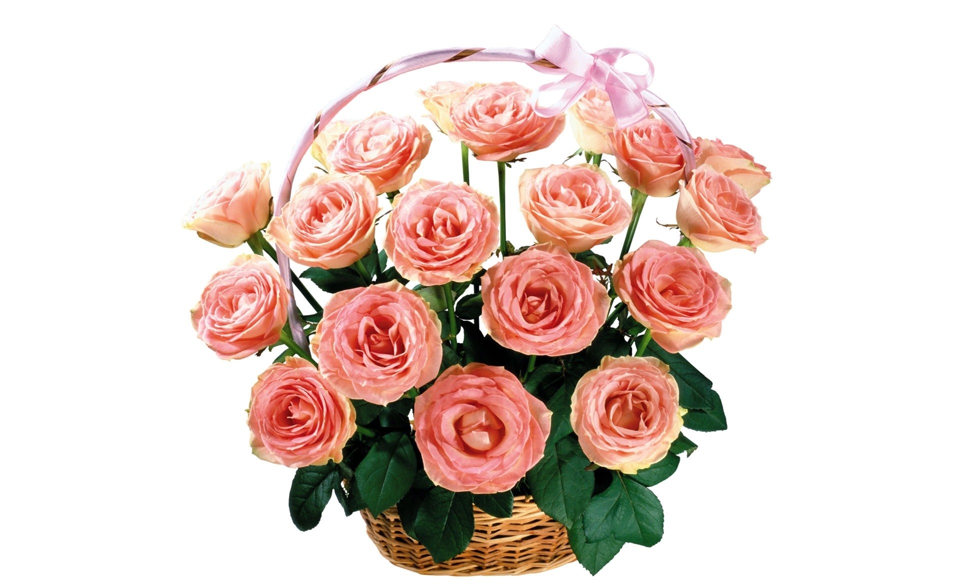 flower shop