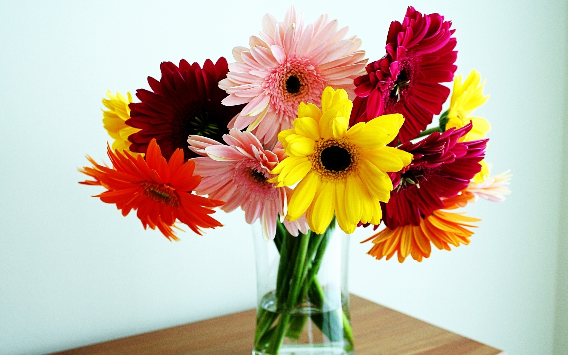 flower shop