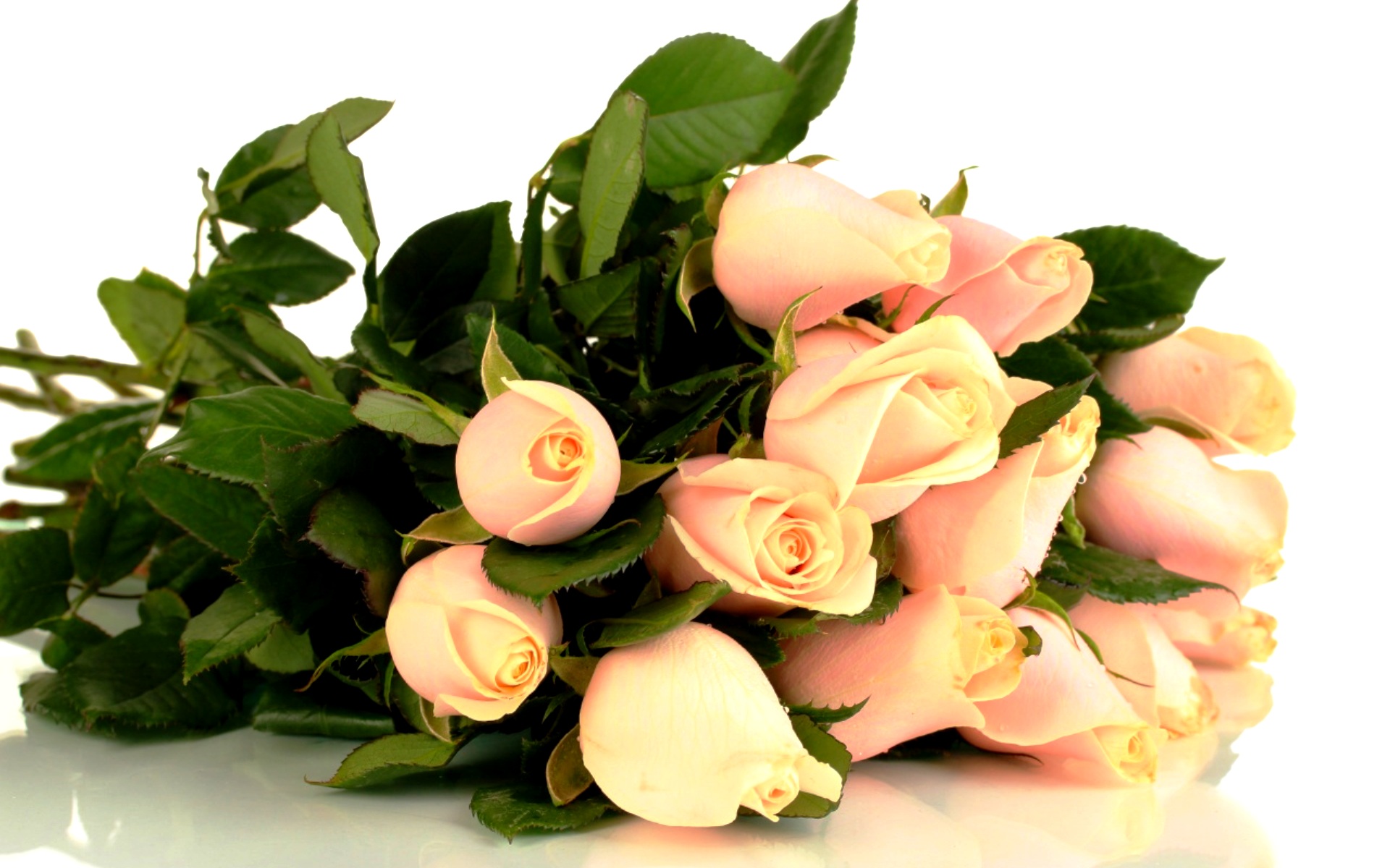flower shop