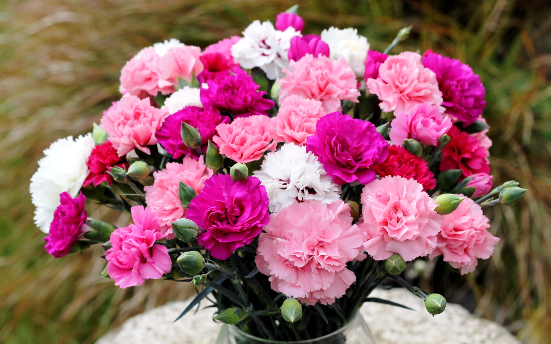 flower shop