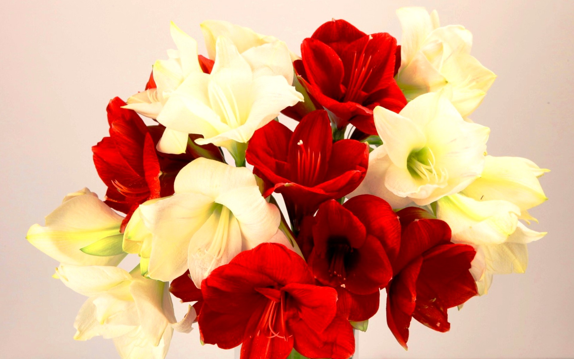 flower shop