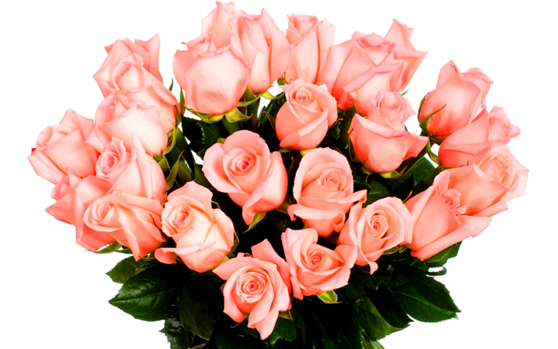 flower shop