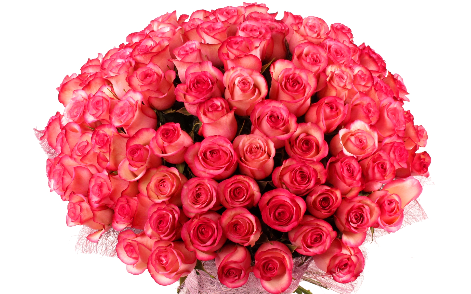 flower shop