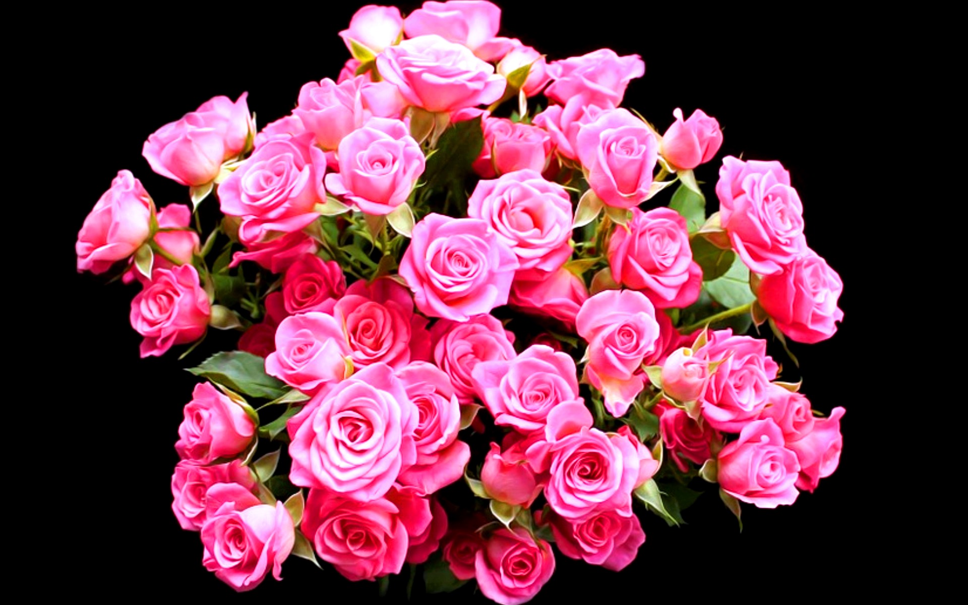 flower shop