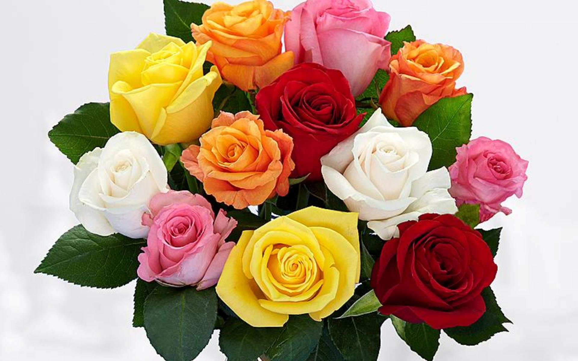 flower shop