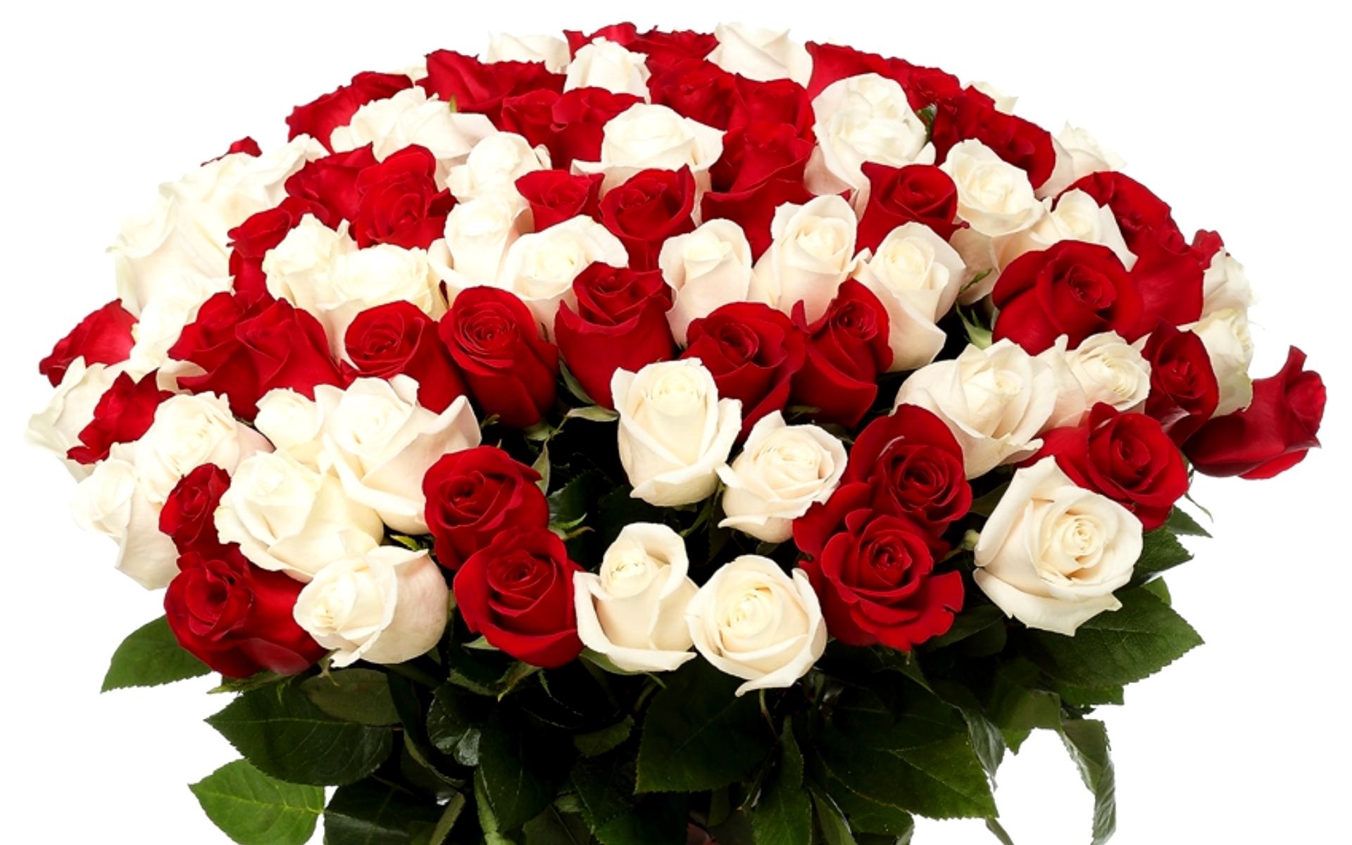 flower shop