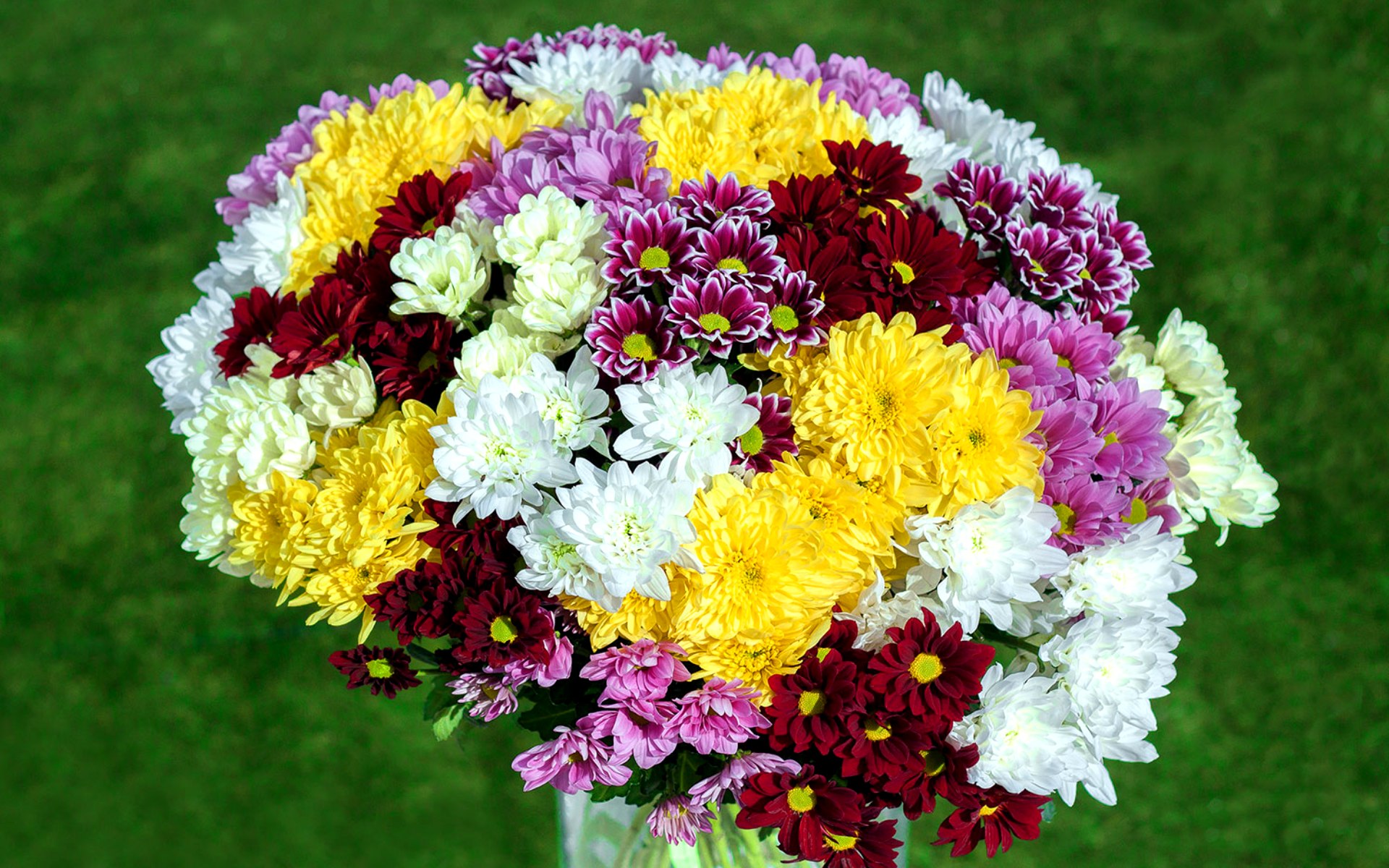 flower shop