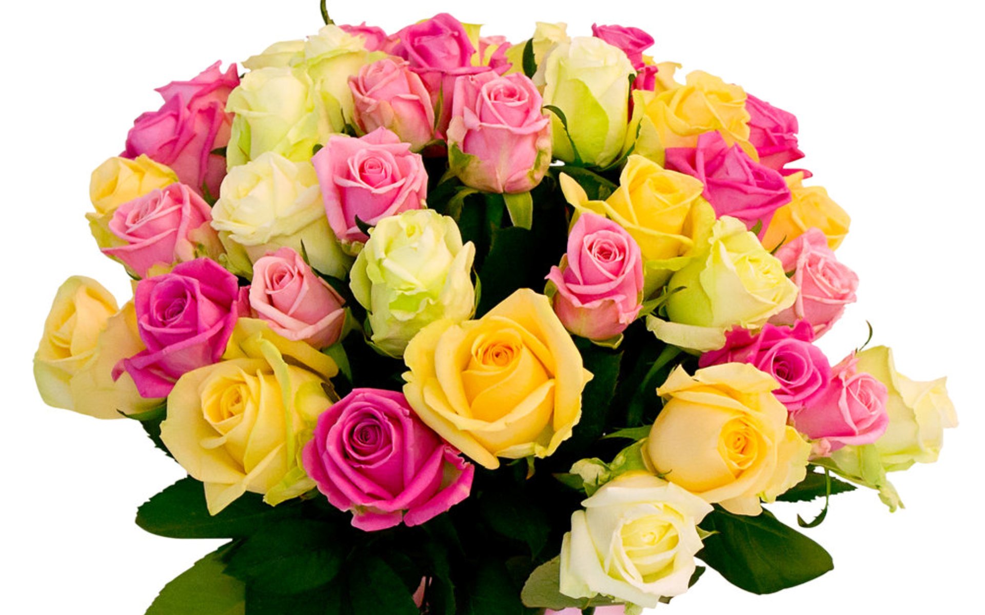 flower shop