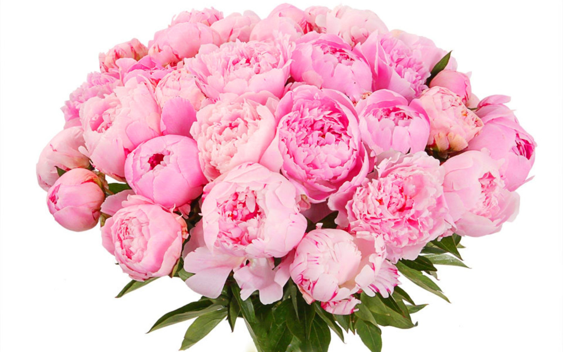 flower shop