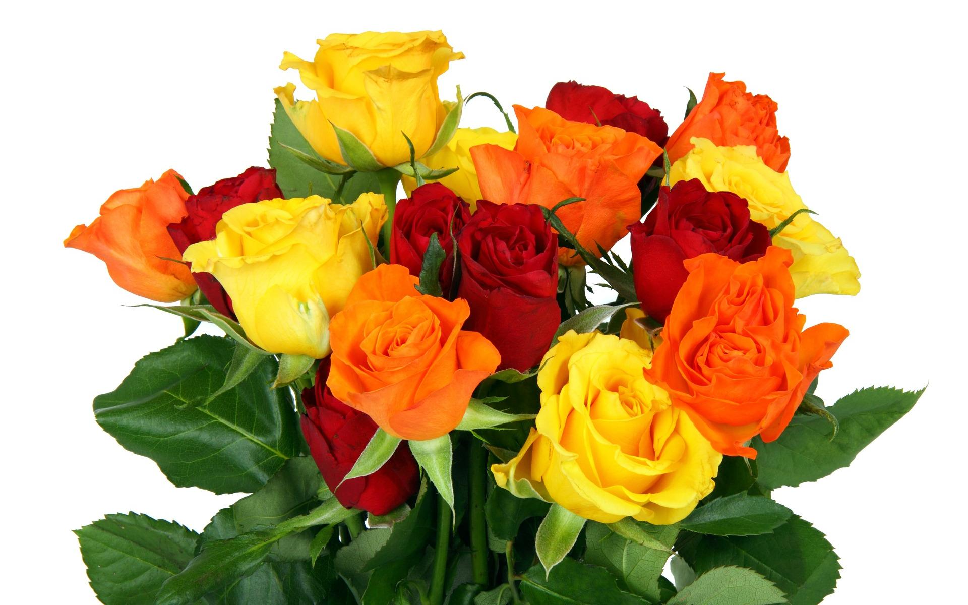 flower shop