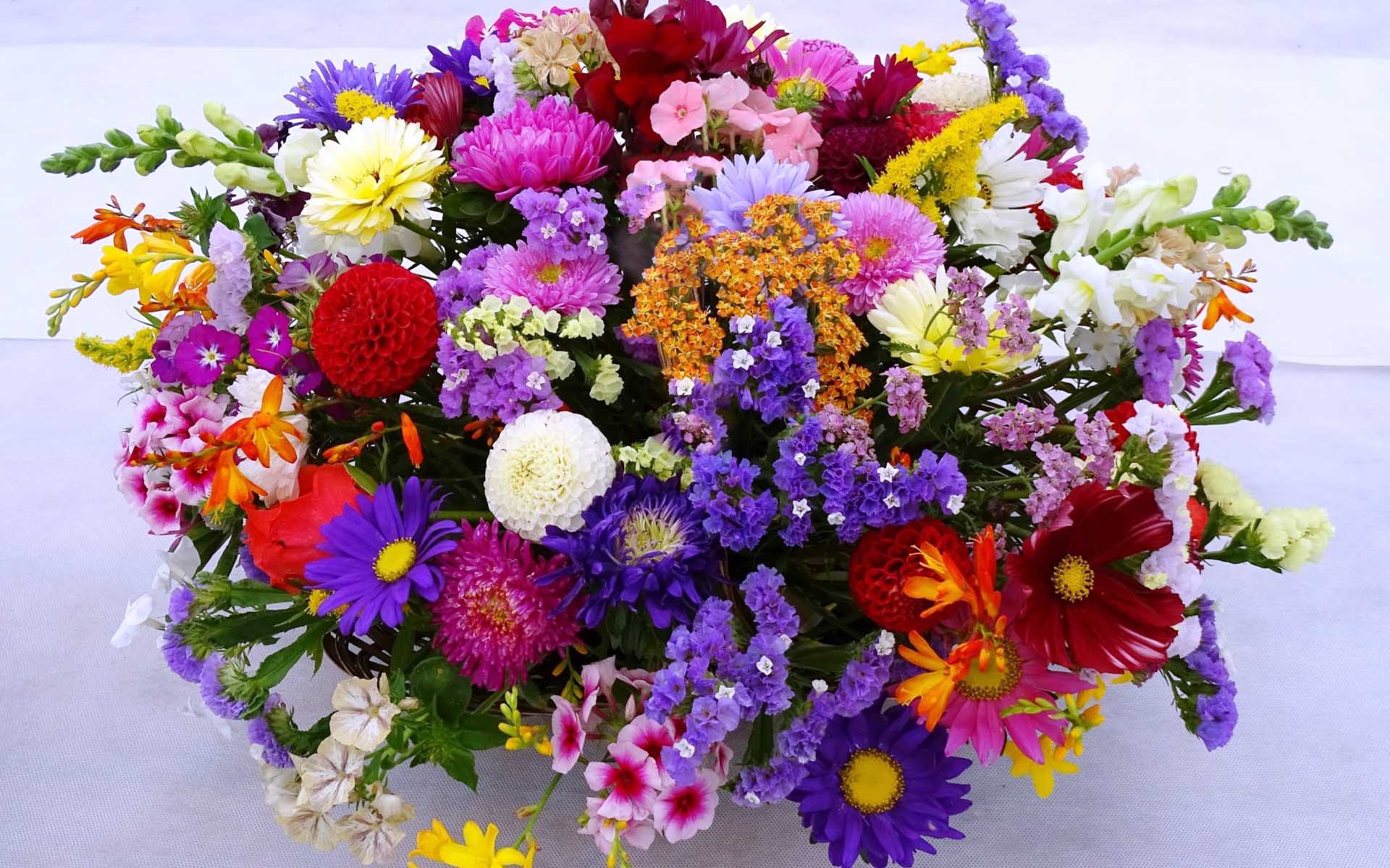 flower shop