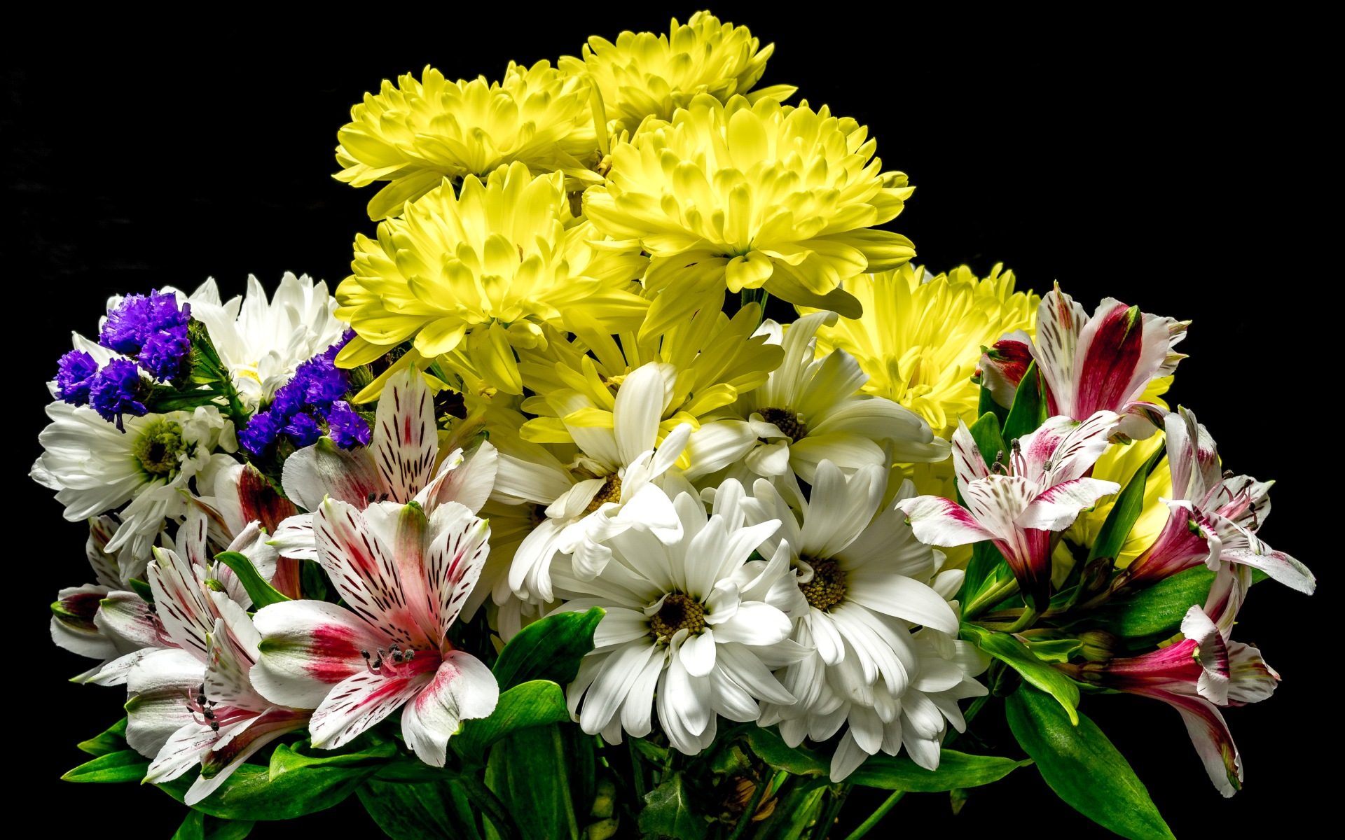 flower shop