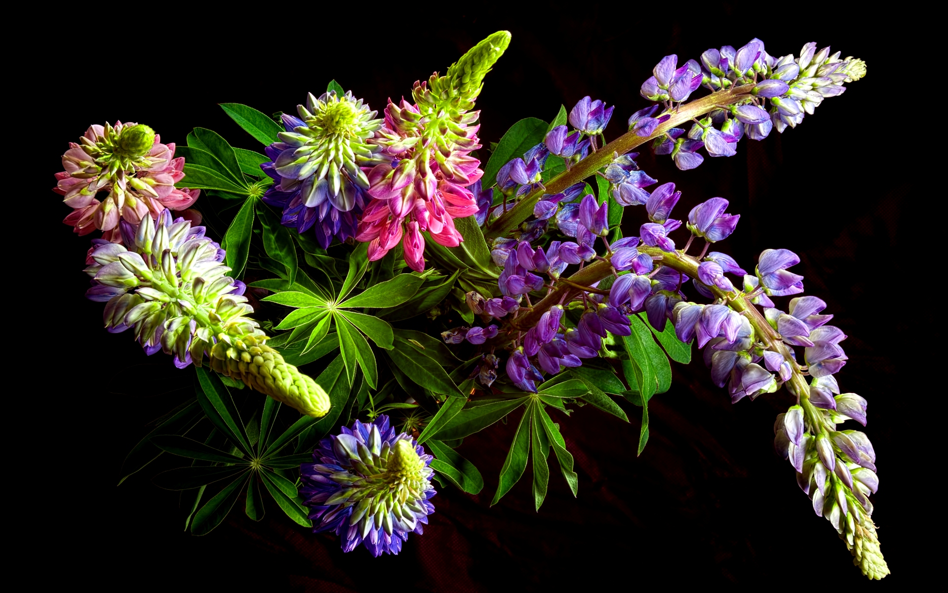 flower shop