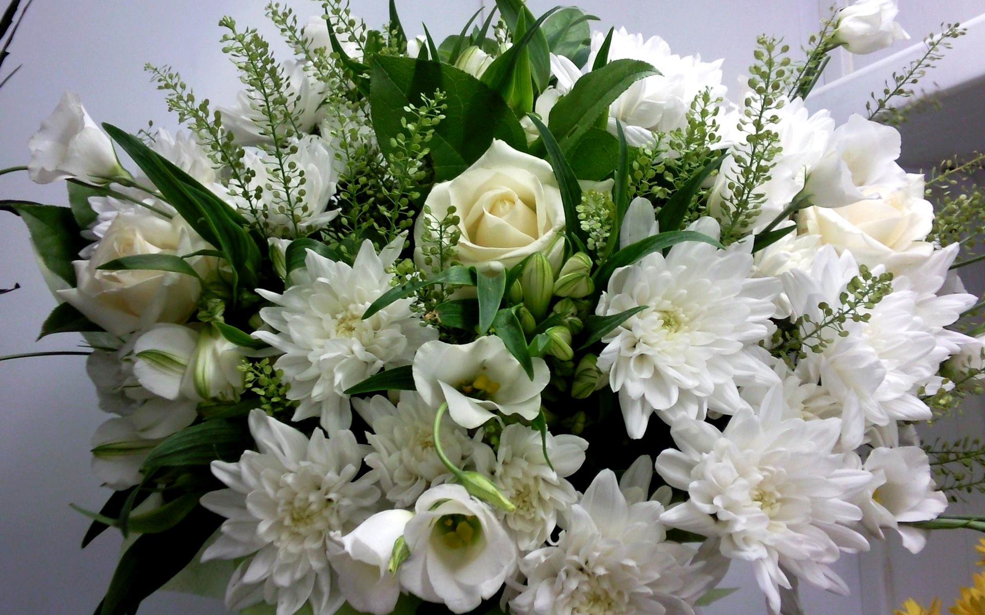 flower shop