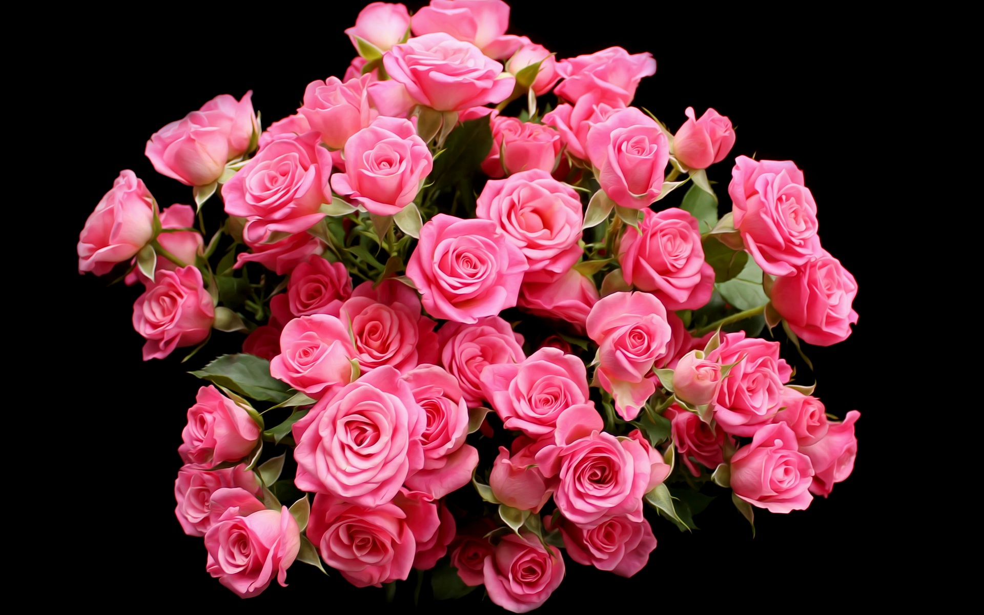 flower shop