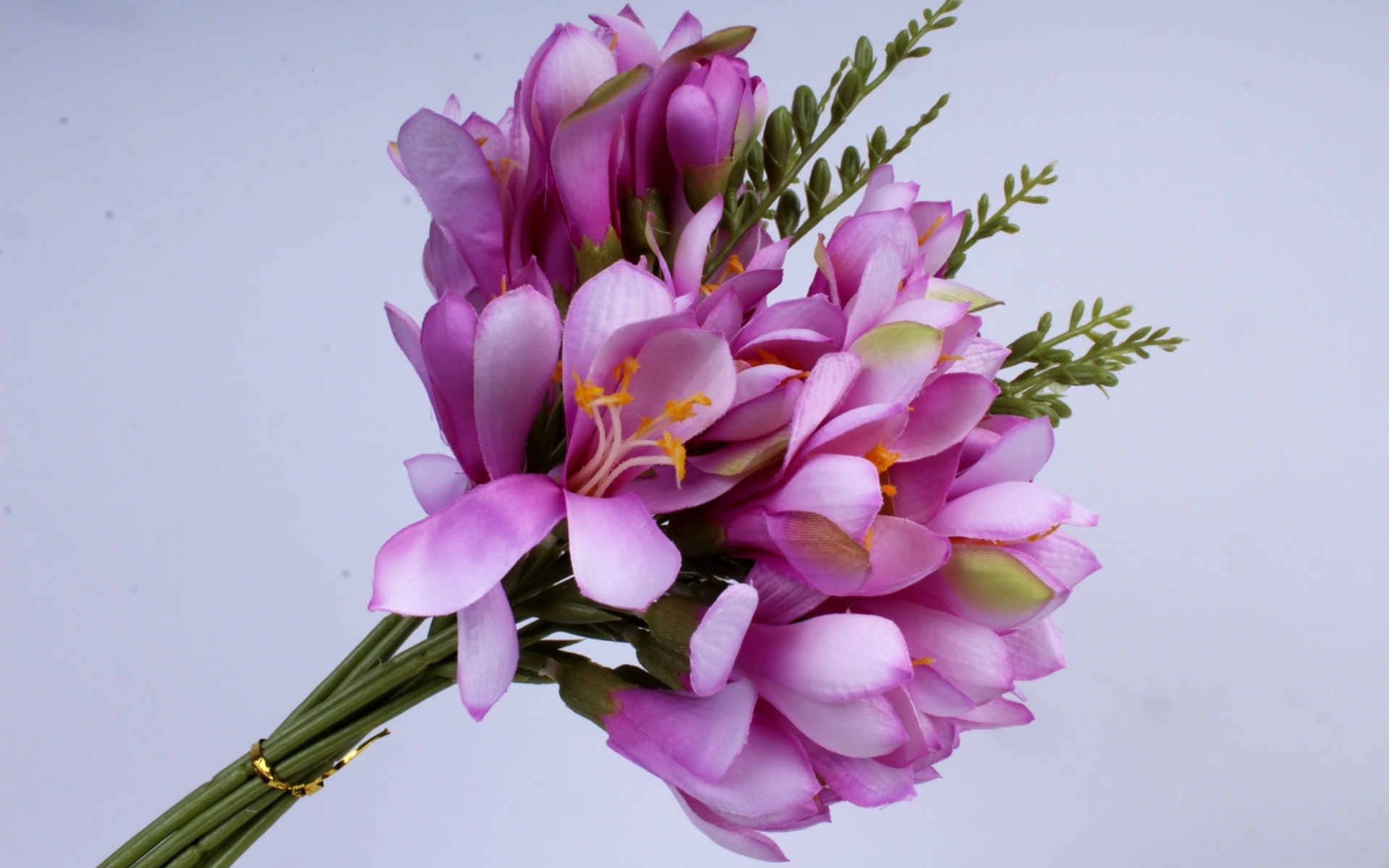 flower shop