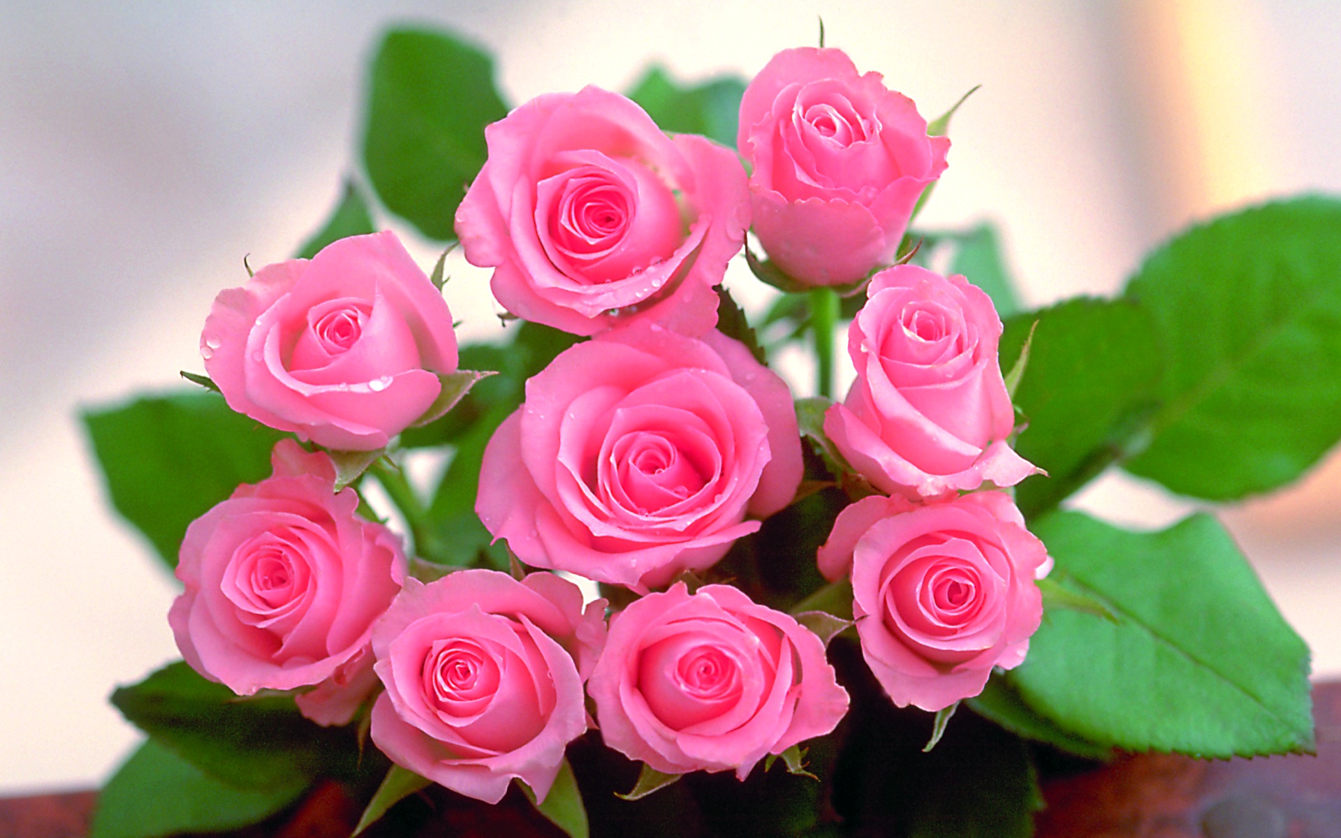 flower shop
