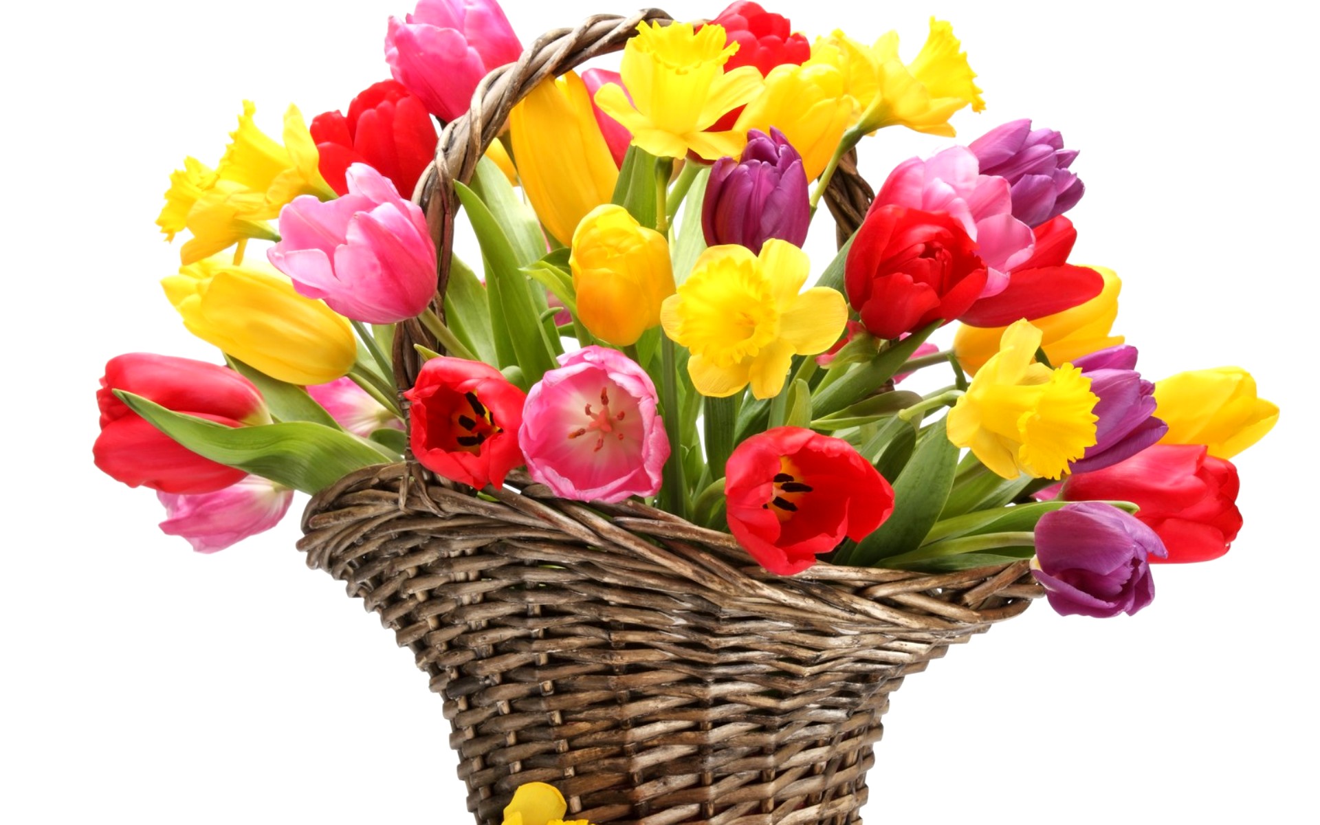 flower shop