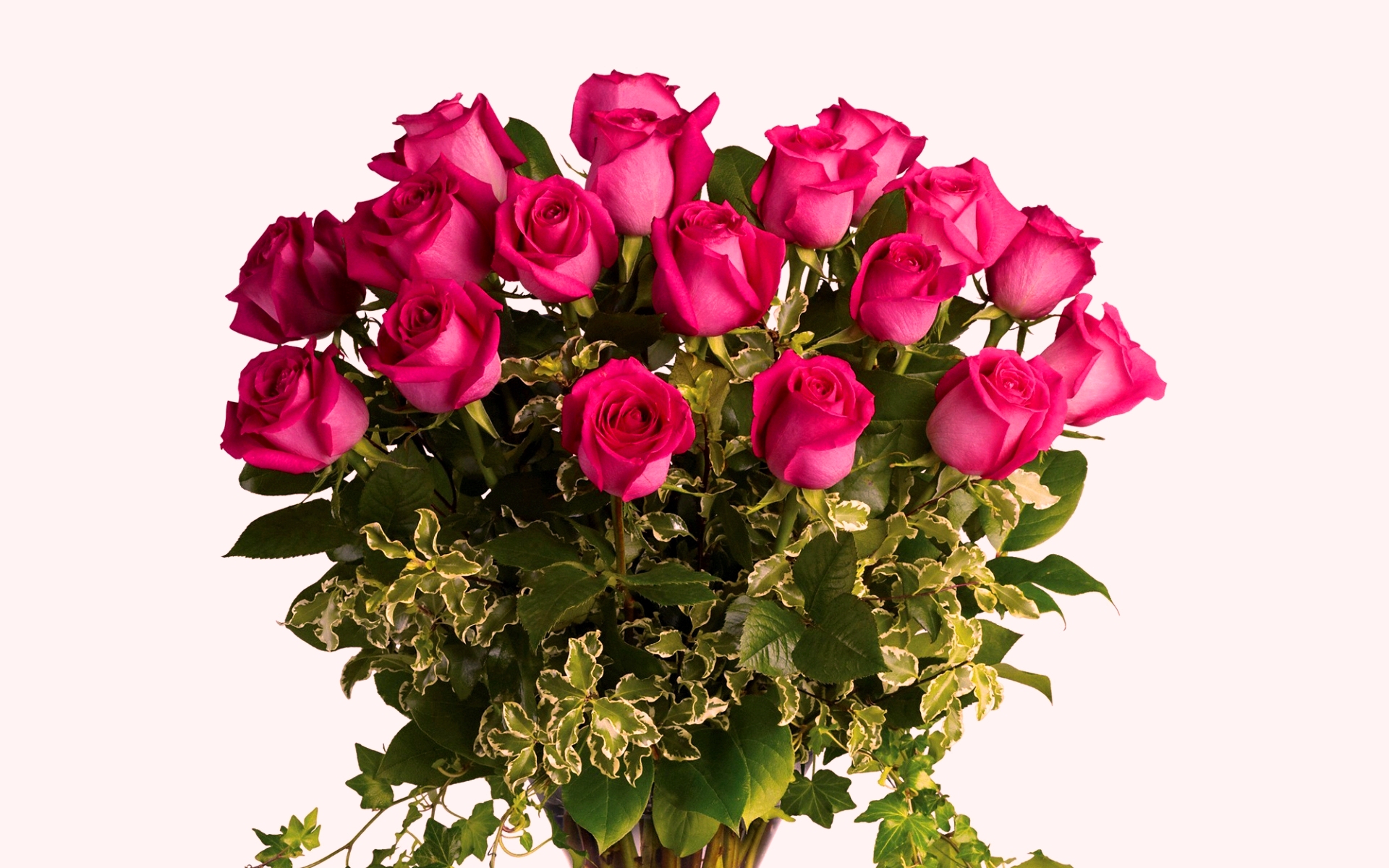flower shop