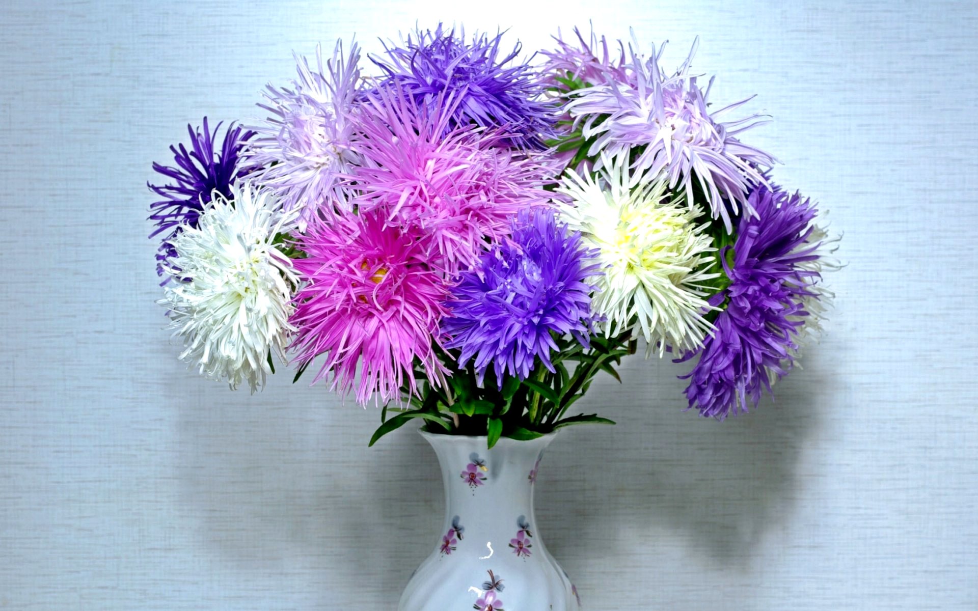 flower shop