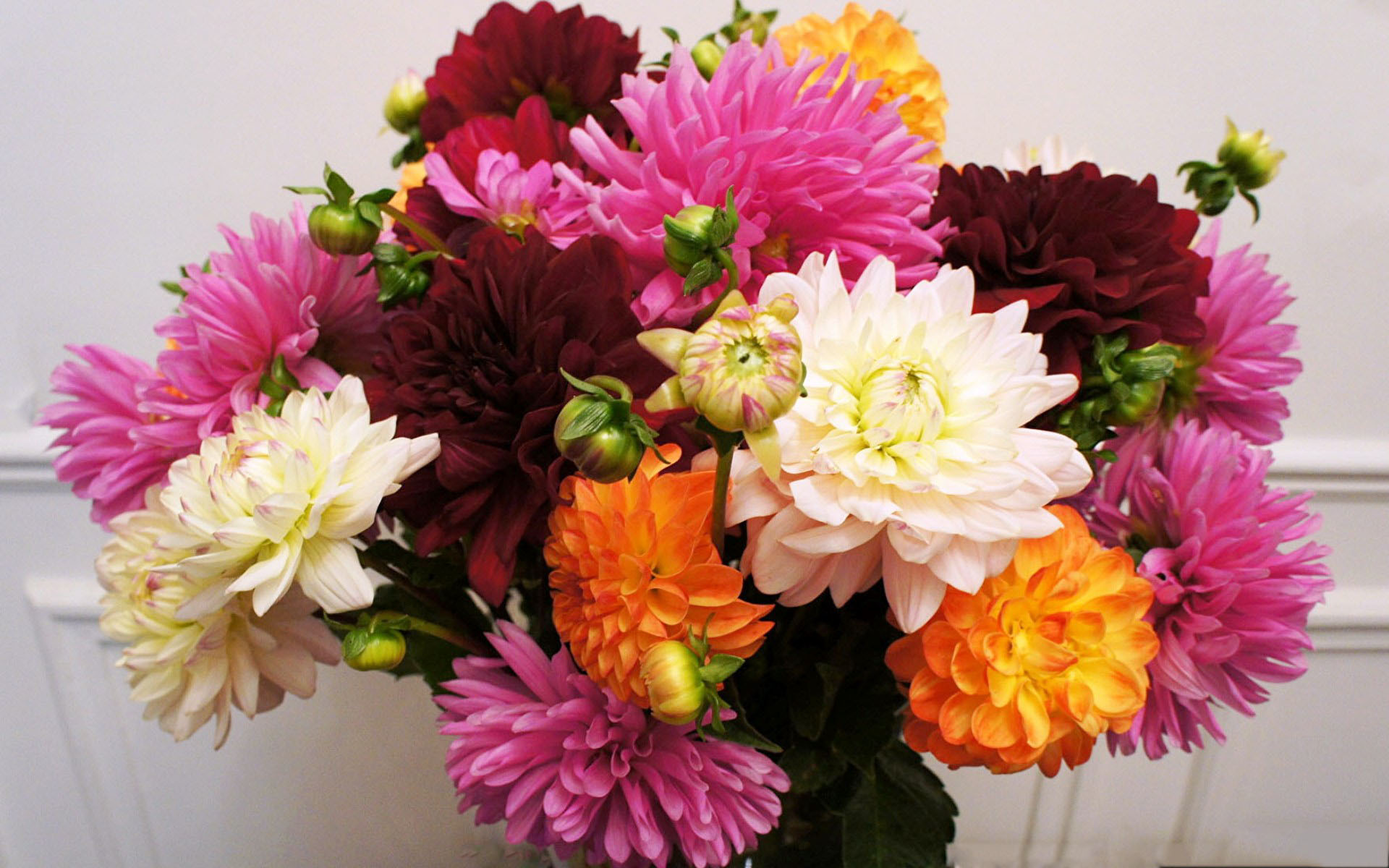 flower shop