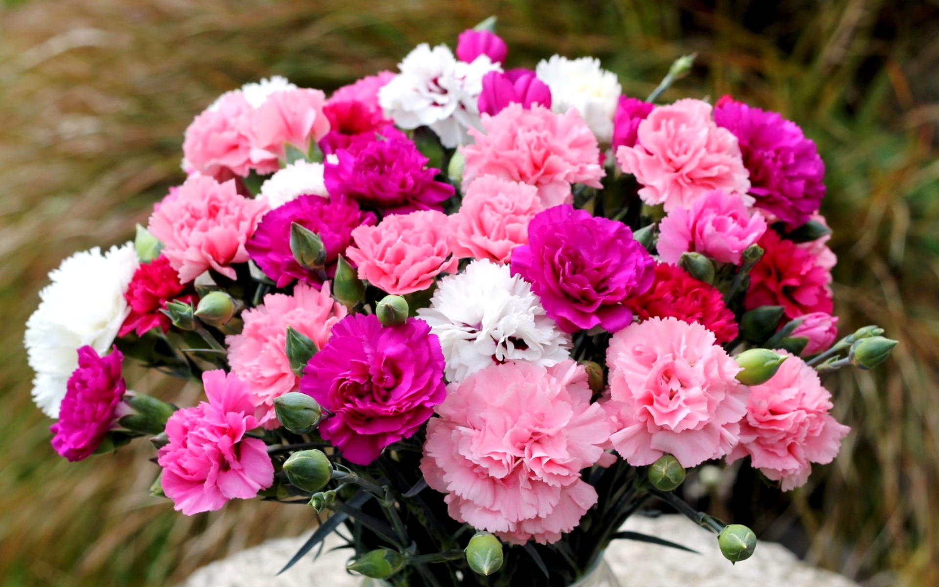 flower shop