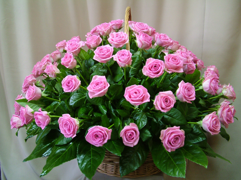 flower shop