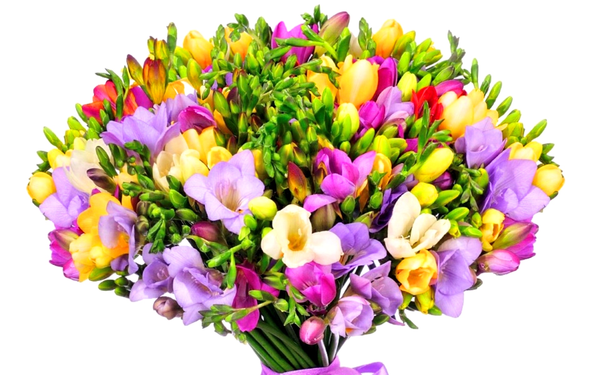 flower shop