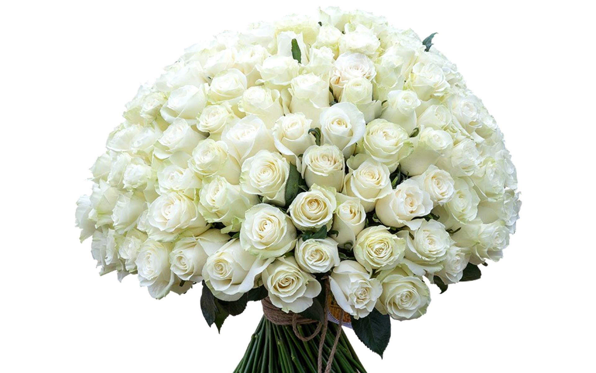 flower shop
