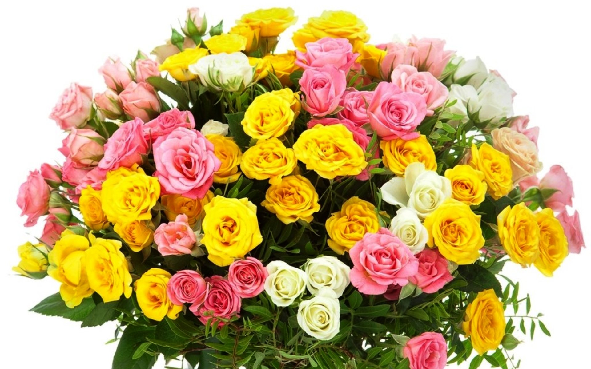 flower shop