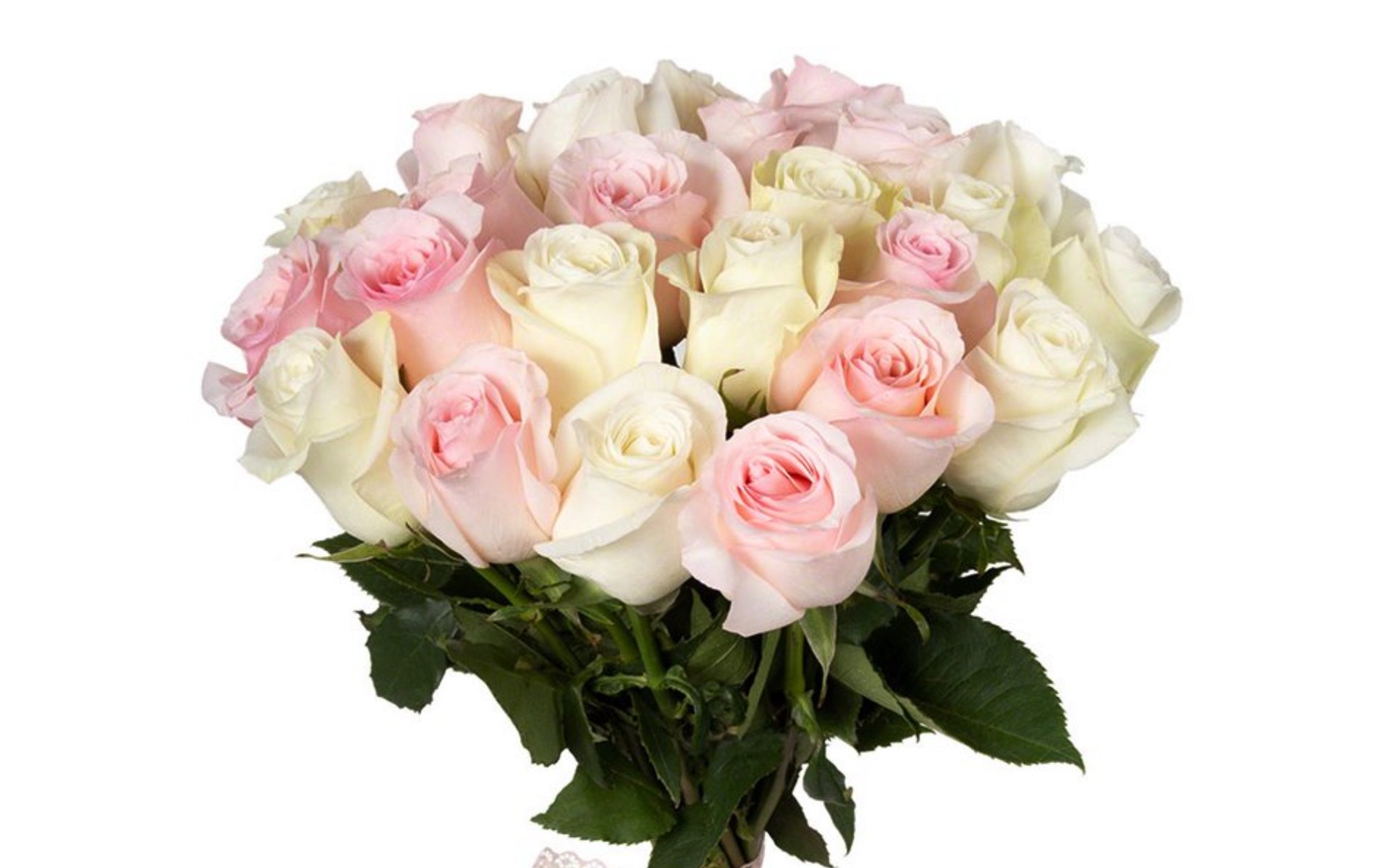 flower shop