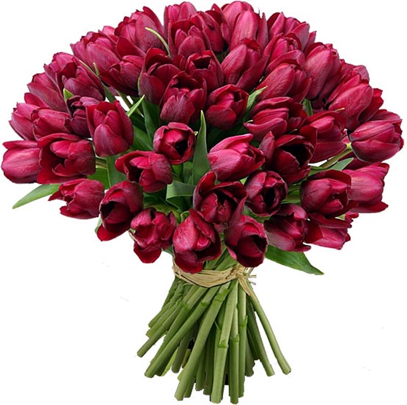 flower shop
