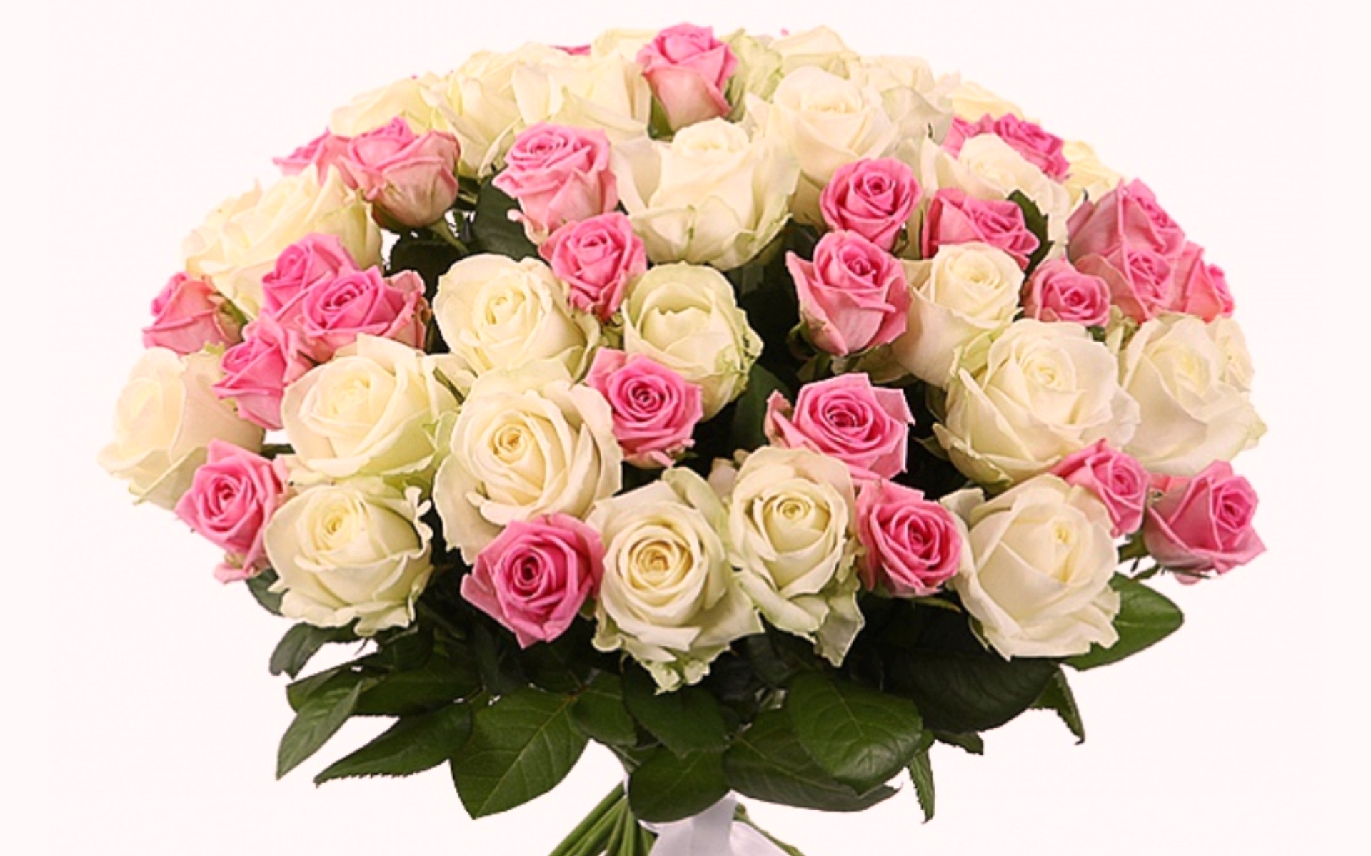 flower shop